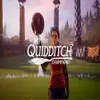 Harry Potter Quidditch Champions varies-with-devices