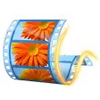 Windows Movie Maker 16.4.3528.331