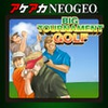 ACA NEOGEO NEO TURF MASTERS varies-with-device