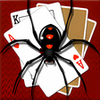 Aces Spider Solitaire  varies-with-device