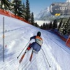 Alpine Ski Racing 2007 