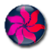 Amara Photo Animation Software  3.0