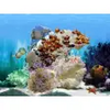 Amazing 3D Aquarium 2.50