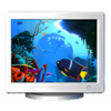 Coral Clock 3D Screensaver  1.0
