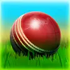 Cricket 3D World Street Challenge varies-with-device