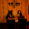 Dinner With An Owl  1.0.1