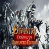 Divinity: Original Sin Enhanced Edition  2016