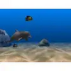 Dolphin Aqua Life 3D Screensaver 3.0.3.1