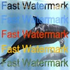 Fast Watermark 1.3