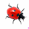 Ladybug on Desktop 1.0