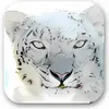 Mac OS X Snow Leopard Wallpapers 