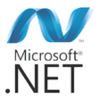 Microsoft .NET Framework  9.0.6
