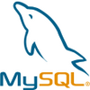 MySQL 8.0.31