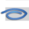 ORS Visual Lite logo