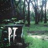 P.T. for PC 0.9