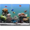 SereneScreen Marine Aquarium 3.3