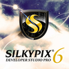 SILKYPIX DS PRO for Windows 6.0.21