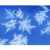 Snowflakes and Frost Windows 7 theme