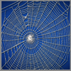 Spidy Web ScreenSaver Clock 1