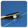 Table Tennis Pro 3.00