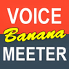Voicemeeter Banana 2.0.5.8