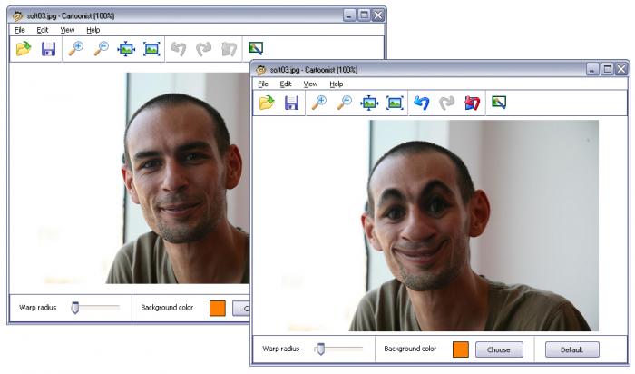 Приложение для пк для лица. Программы искажения изображения. Программа для искривления лица. Cartoonist программа. Программа для деформации лица.