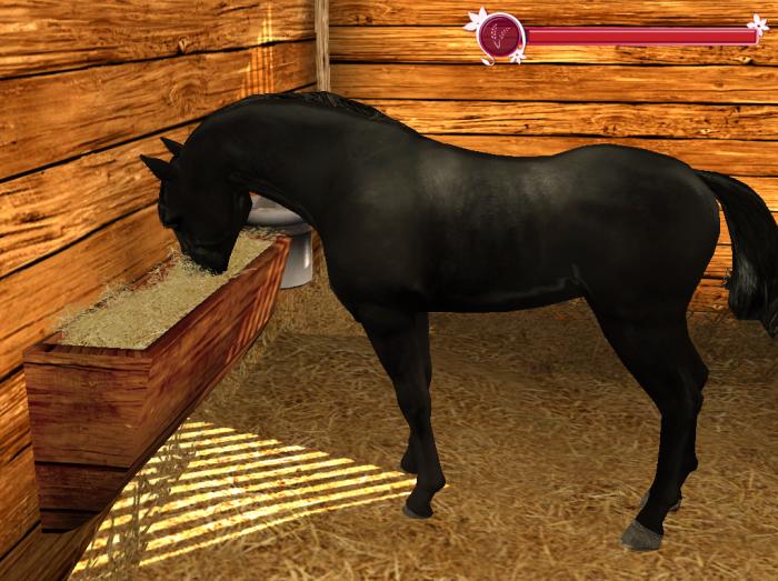 my horse and me 2 download