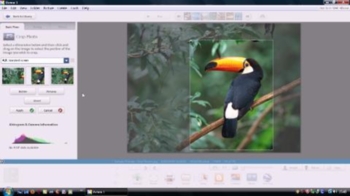 substitutes for picasa 3.9